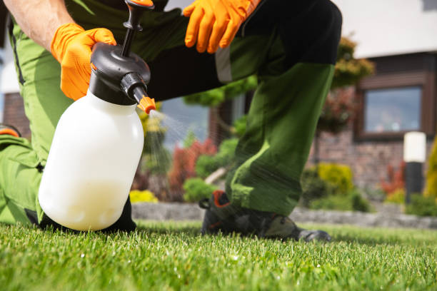 Best Pest Removal Services  in Pajaro, CA