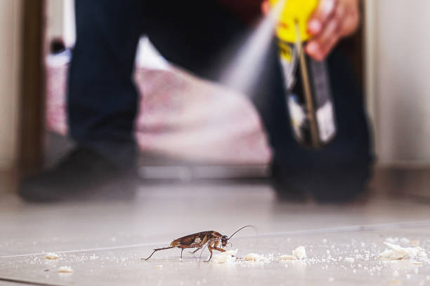 Best Pest Prevention Services  in Pajaro, CA