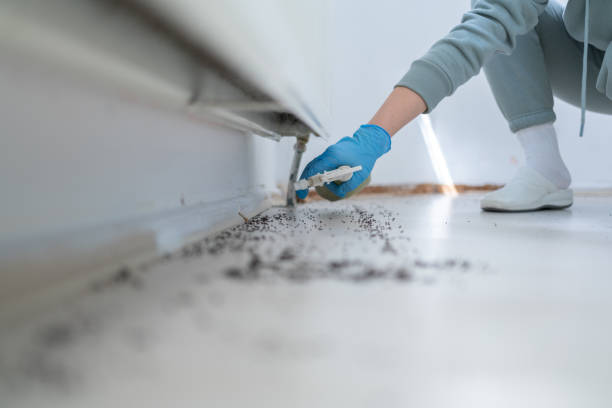 Best Pest Inspection Near Me  in Pajaro, CA